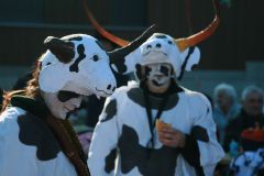 2009_IMG_1528_klein