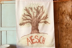 1_IMG_0562
